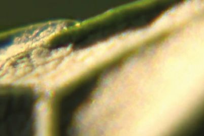 555457651_1230446869125817_1257789088639485009_n.jpg
