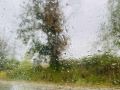 dazhd-valezhi-dazhdovno-vreme-3.jpg