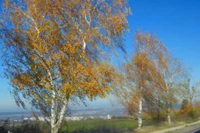 esen-vreme-41.jpg