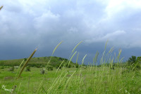 mrachno-vreme-oblatsi-4.jpg