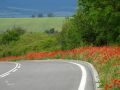 pat-kola-vreme-3.jpg