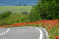 pat-kola-vreme-3.jpg