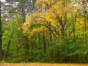 До 16 градуса днес